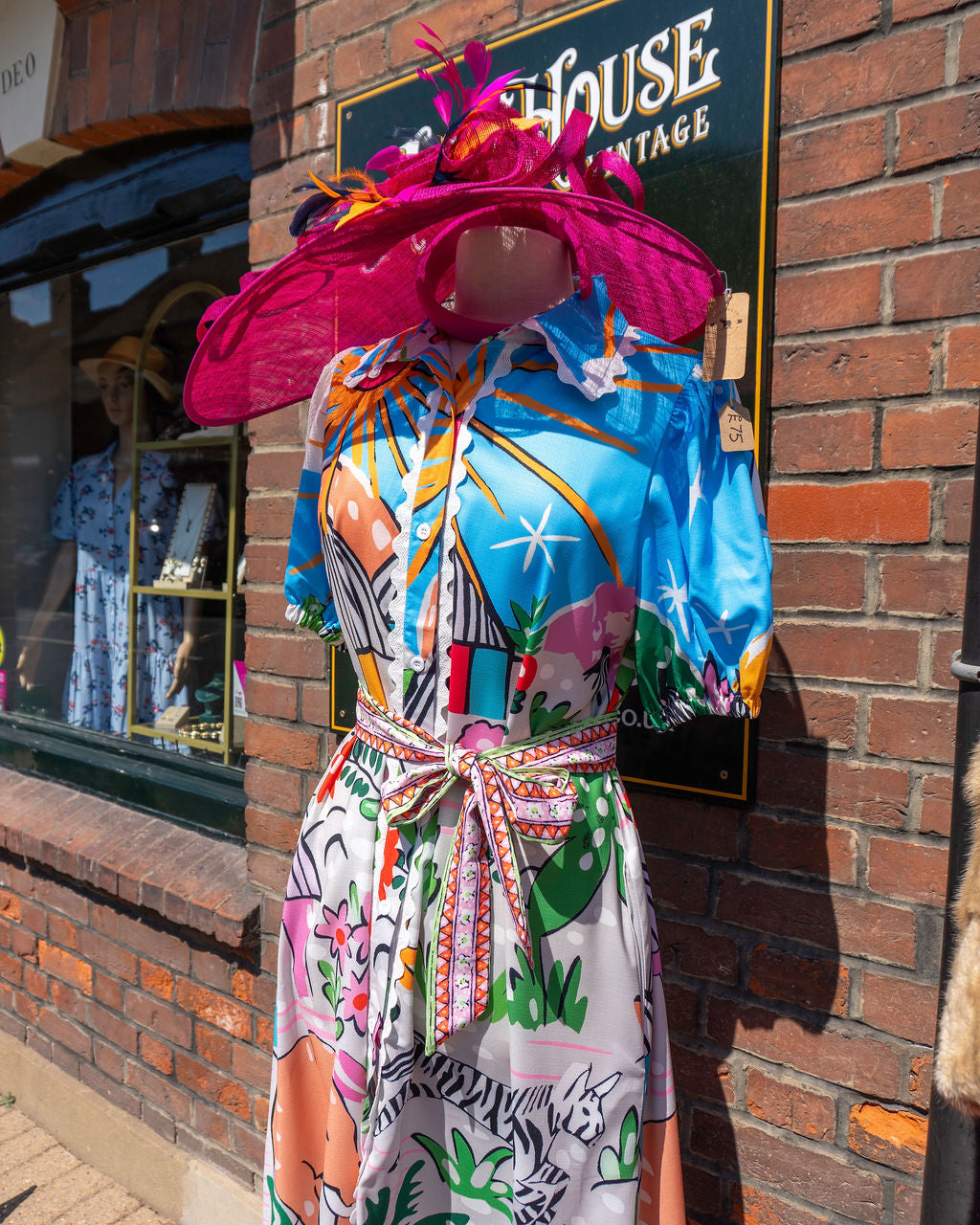 Wildlife Park Dress